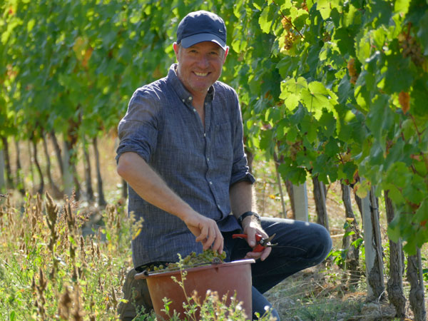 weingut laquai gundolf rheingau