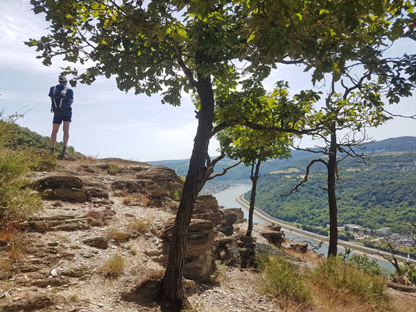 rheinsteig ausblick kamp bornhofen