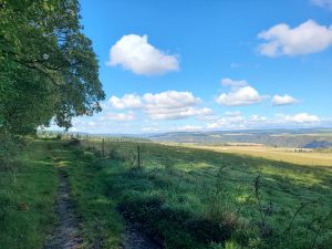 Wandern im Mittelrheintal - sagenhaft schön 13 traumschleife-mittelrhein-weg-impression