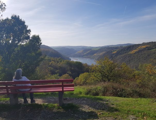 aussichtspunkt rheintal oberwesel loreley leiselfeld