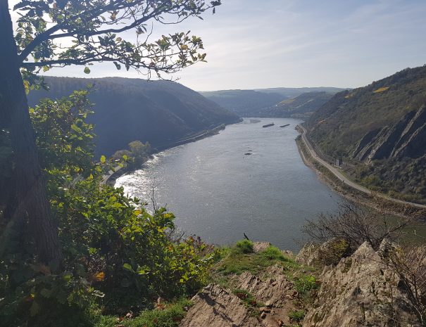 Blick von der Felsenkanzel nahe der Loreley ins Rheintal bis nach Oberwesel