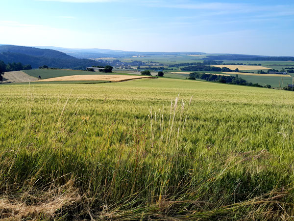 Landschaft-stille-mittelrheintal-ferienwohnung-land